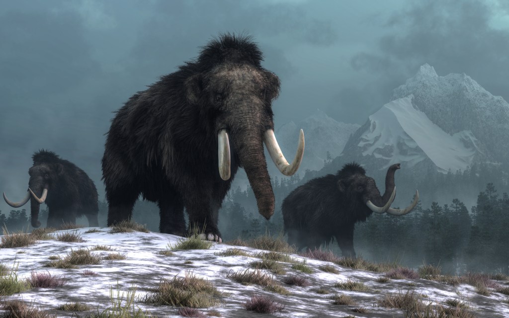 Woolly Mammoth