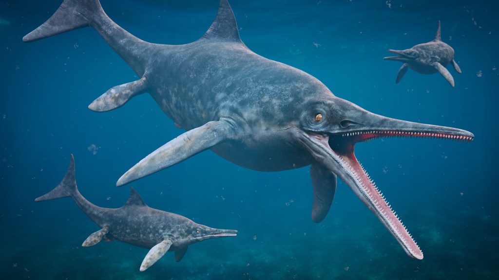 Ichthyosaurus (Brachypterigus Extremis)