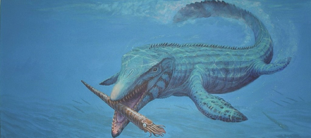 Mosasaur (Prognathodon sp.)