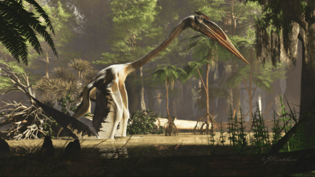 Pterosaur