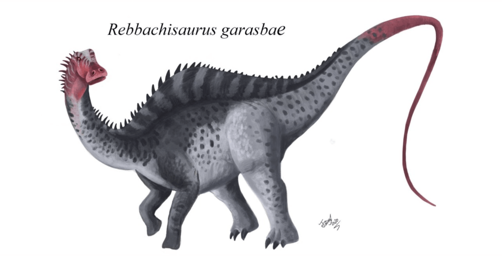 Rebbachisaurus