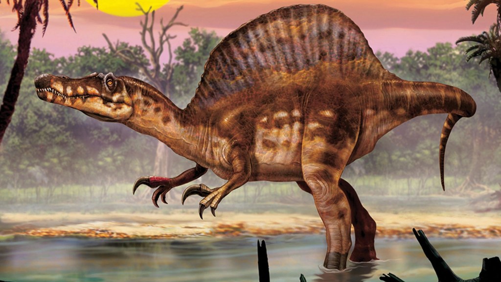 Spinosaurus sp.