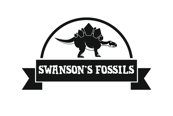 A MaRRIAGE Of Childlike WONDER & Adult Paychecks